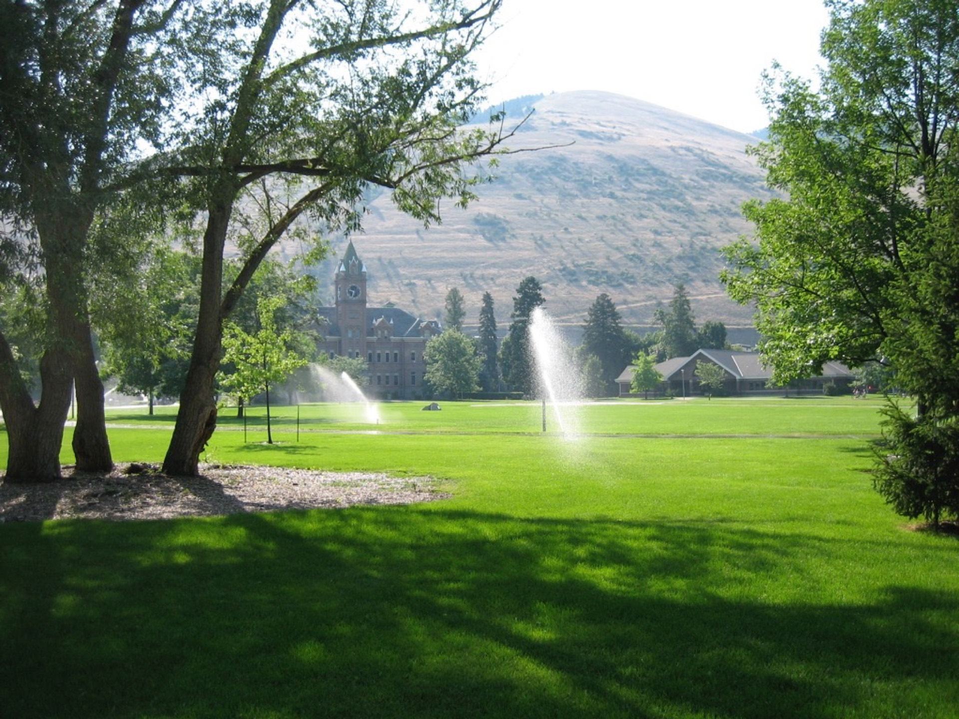 The Oval on a summer morning, with University Hall and Mount Sentinel in the distance